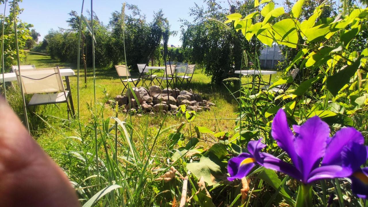 Bed and Breakfast Ow Sargus Władysławowo Esterno foto